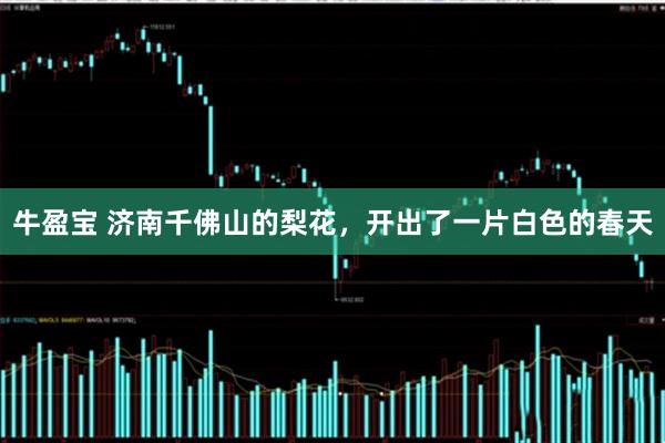 牛盈宝 济南千佛山的梨花,开出了一片白色的春天